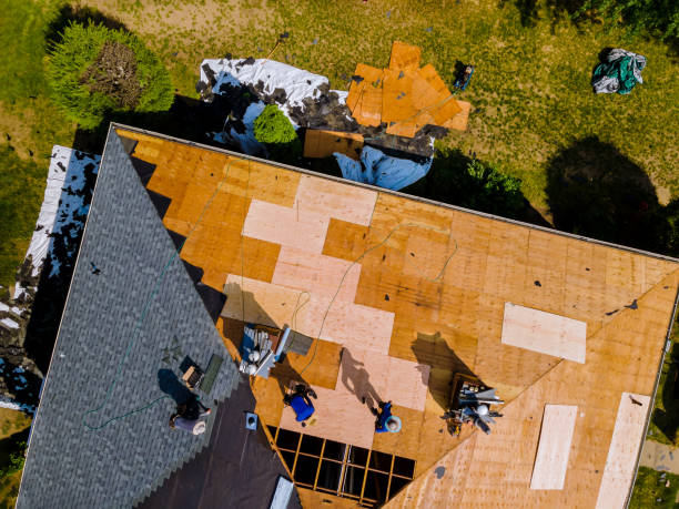 Best Roof Waterproofing Services  in Farmer City, IL