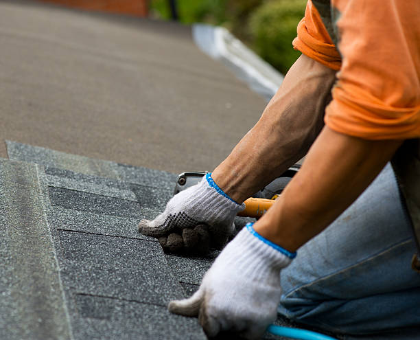 Best Metal Roofing Contractor  in Farmer City, IL