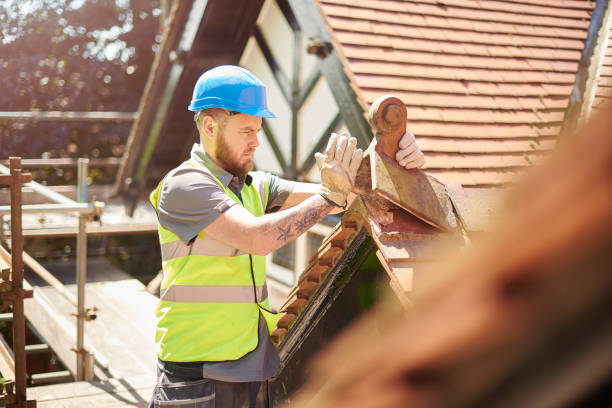 Best Emergency Roof Repair  in Farmer City, IL