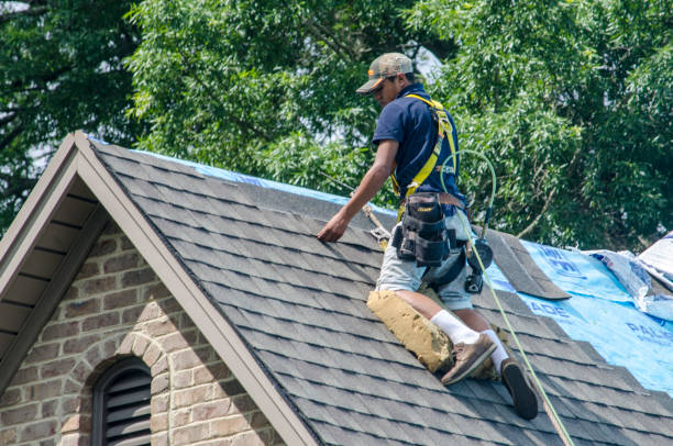 Best Flat Roof Repair Services  in Farmer City, IL